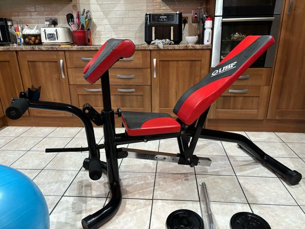 Elverys discount weights bench