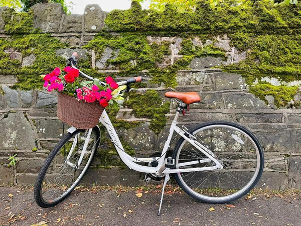 vintage bicycles 208 All Sections Ads For Sale in Ireland DoneDeal