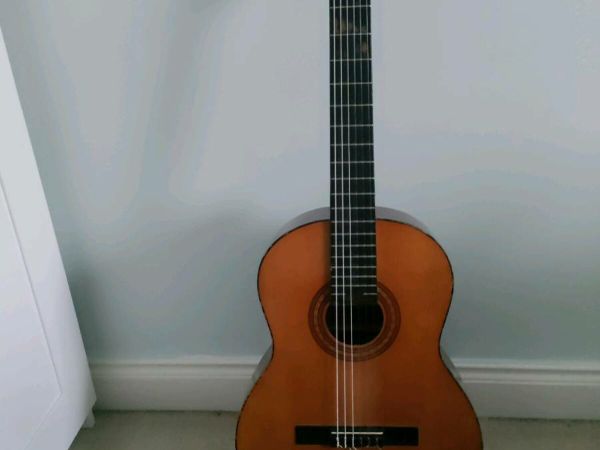 Hohner guitar deals for sale