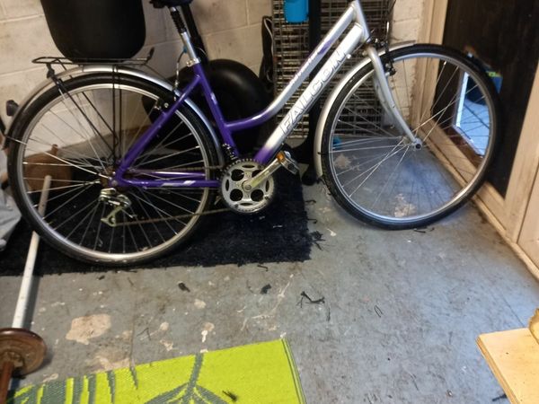 Donedeal ladies online bike