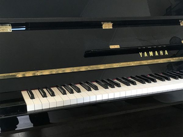 Lidl piano store keyboard