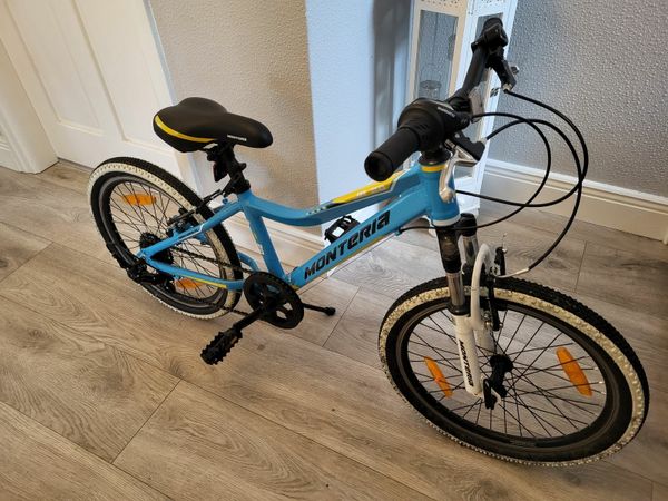 Piranha xp blue 20 inch online wheel size kids mountain bike