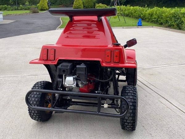 Havel buggy for store sale