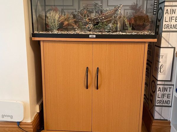 50 litre fish outlet tank