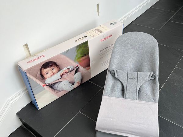 Baby bjorn deals bouncer cover