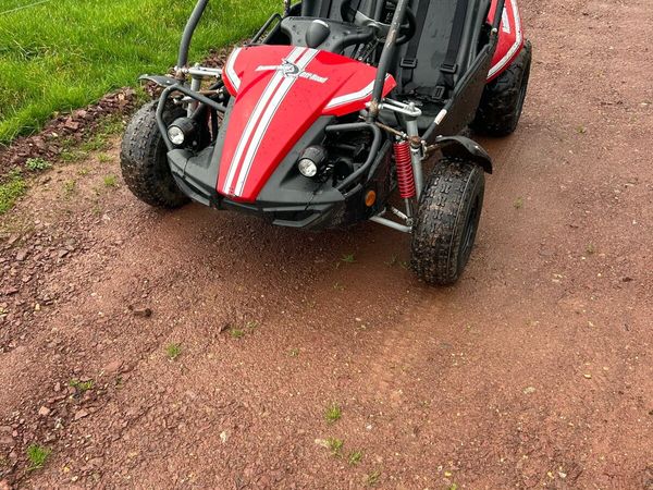 Buggies for sale done hot sale deal