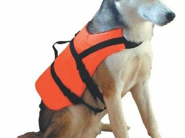 Dog life best sale jacket ireland