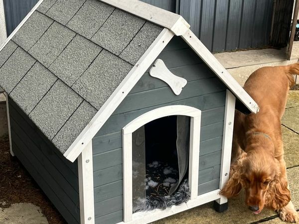 Done deal best sale dog houses