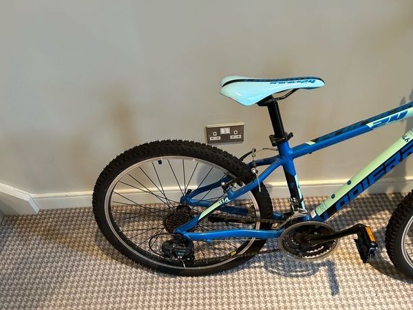 Done deal 2024 childrens bikes