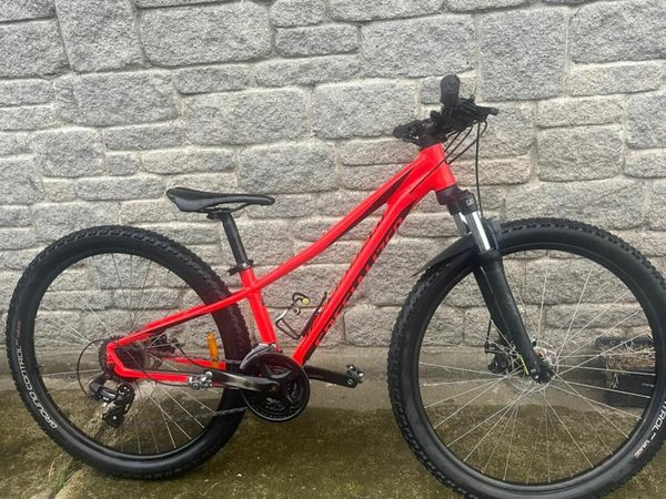 Donedeal mountain clearance bikes