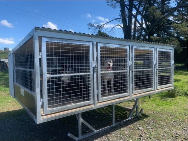 Done deal shop dog kennels