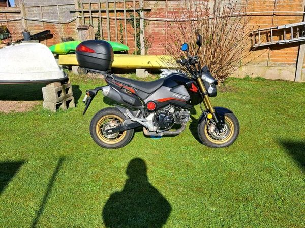 Honda grom 125 online for sale