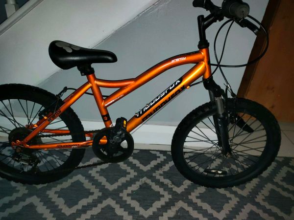 Kids Muddy Fox Bike for sale in Co. Dublin for 40 on DoneDeal