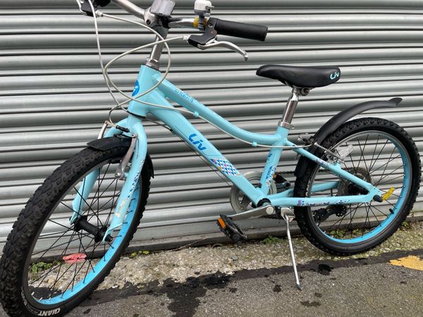 Liv bikes hot sale ireland