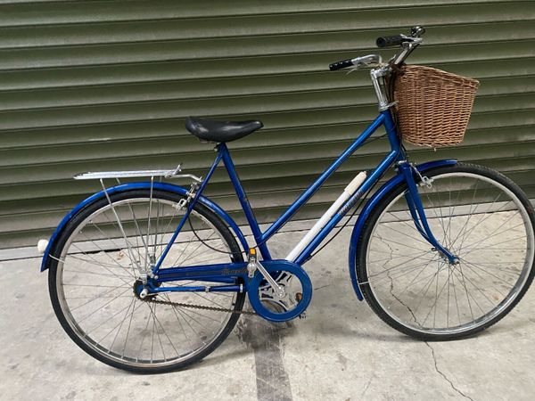 Raleigh bicycles for online sale