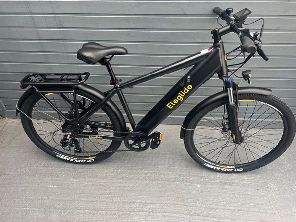 2 seater store bicycle for sale