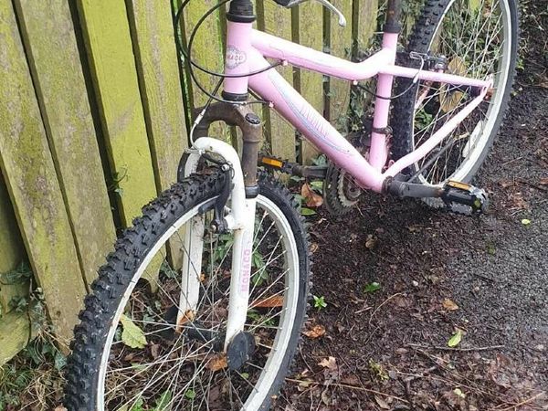 Done deal shop girls bike