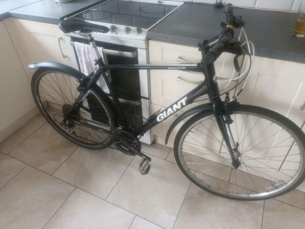 Giant rapid best sale bike price