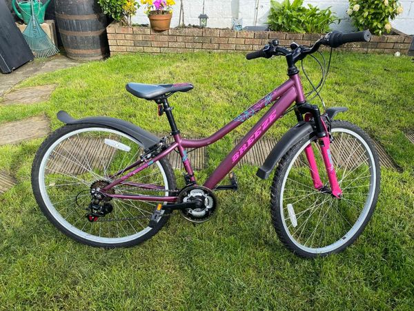 26 inch carrera mountain bike deals