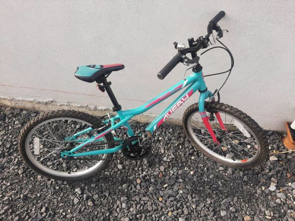 Old mountain bikes for hot sale sale