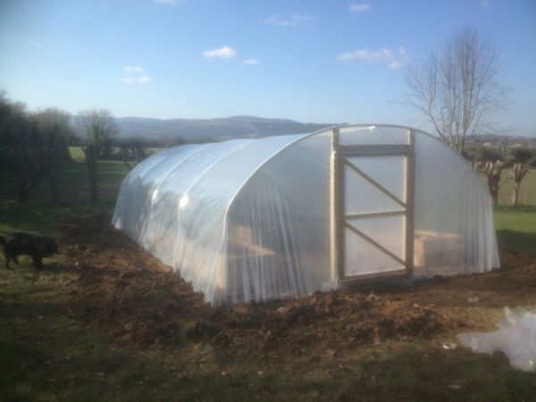15ft 6in  wide permanent polytunnel