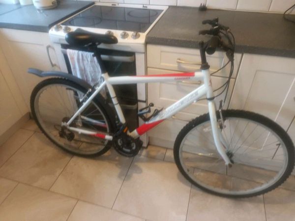 Mountain store bikes donedeal