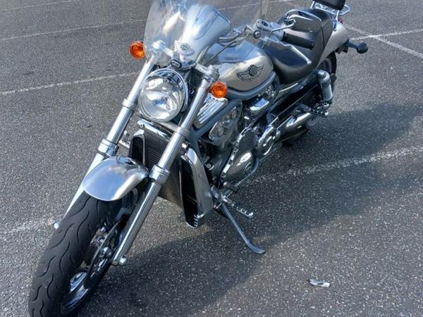 harley davidson rod price