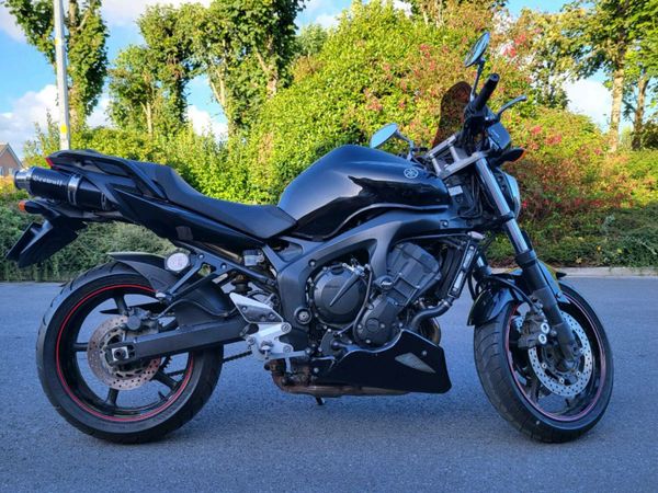 fz 2008 model