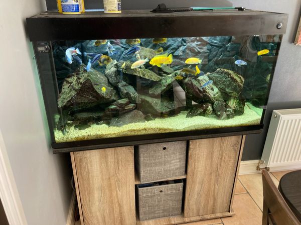 400 l fish tank 8 Fish Ads For Sale in Ireland DoneDeal