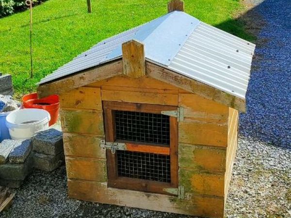 Dog kennels for sale done deal sale
