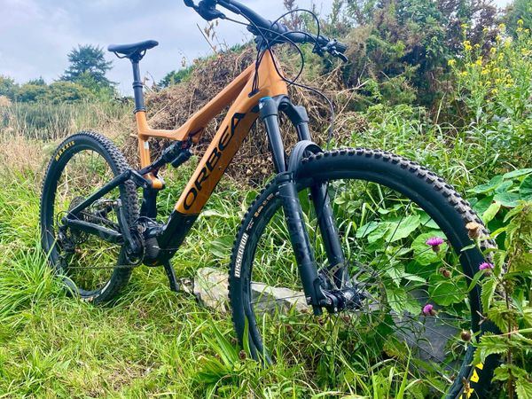 Xl mountain bike for sale near me sale