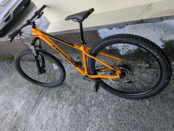 Bicycles for sale on donedeal sale