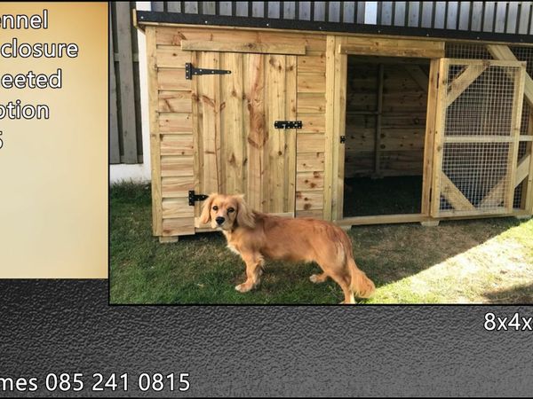 Dog kennels for sale tipperary best sale