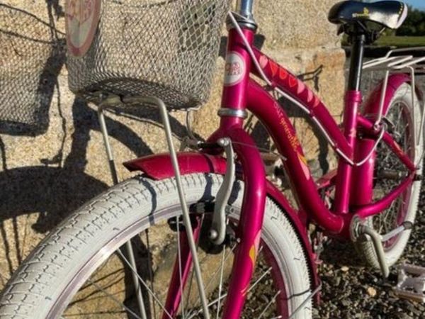 Smyths our generation bike online