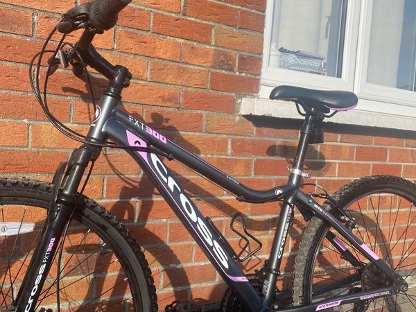 Bike for sale in Co. Westmeath for 100 on DoneDeal