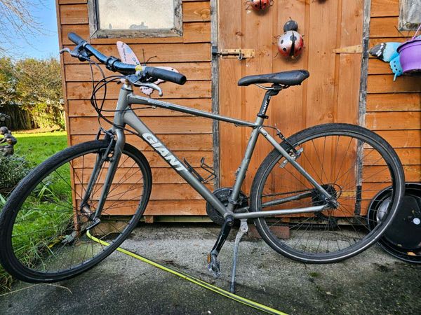 giant escape bike 11 All Sections Ads For Sale in Ireland DoneDeal