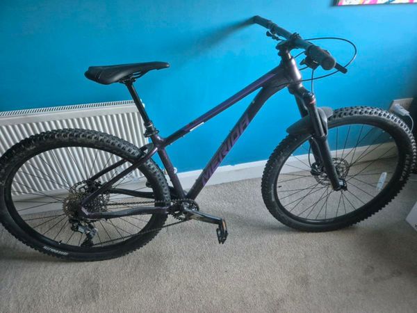 giant 29er mountain bike for sale 72 All Sections Ads For Sale in Ireland DoneDeal
