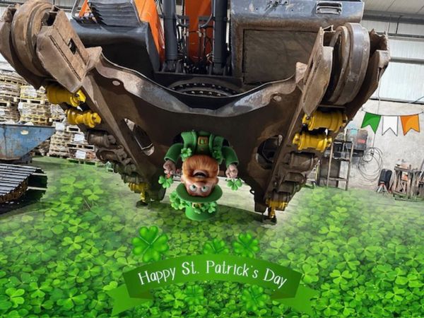 plant sold at st patricks day
