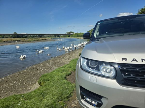 Land Rover Range Rover Sport SUV, Diesel, 2016, Gold