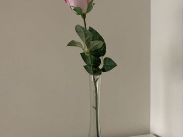 no-image