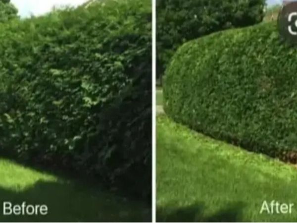 no-image
