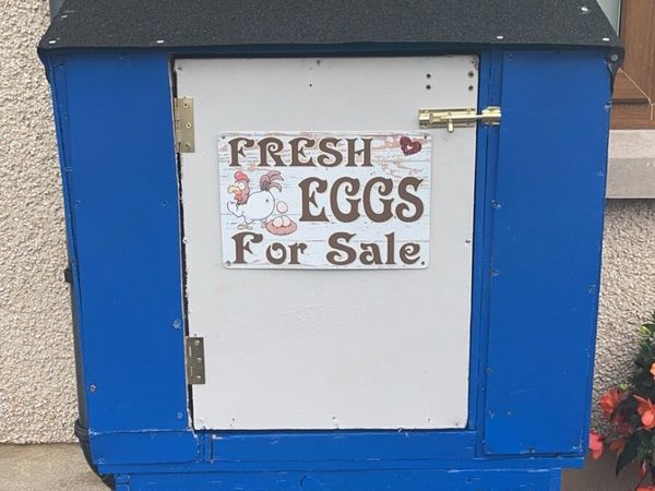 no-image