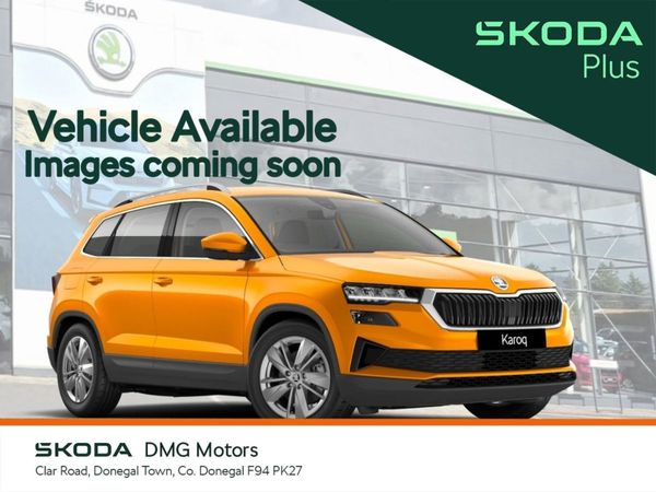 Skoda Karoq Estate, Diesel, 2023, Grey