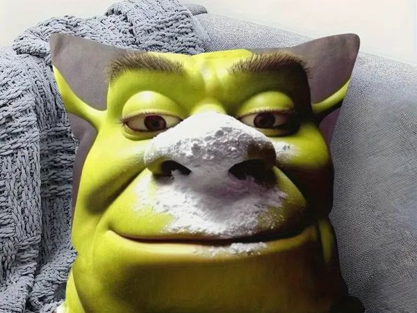 no-image