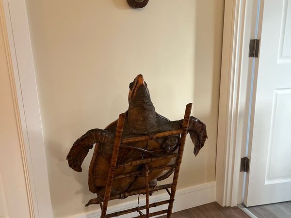 no-image