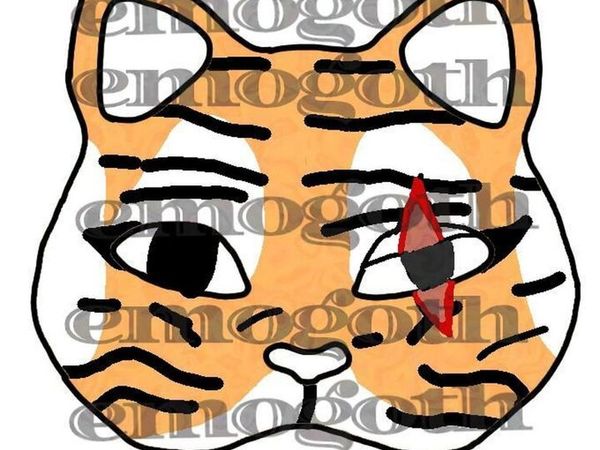 no-image
