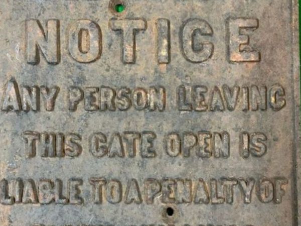 no-image