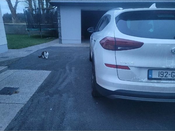 Hyundai Tucson SUV, Diesel, 2019, White