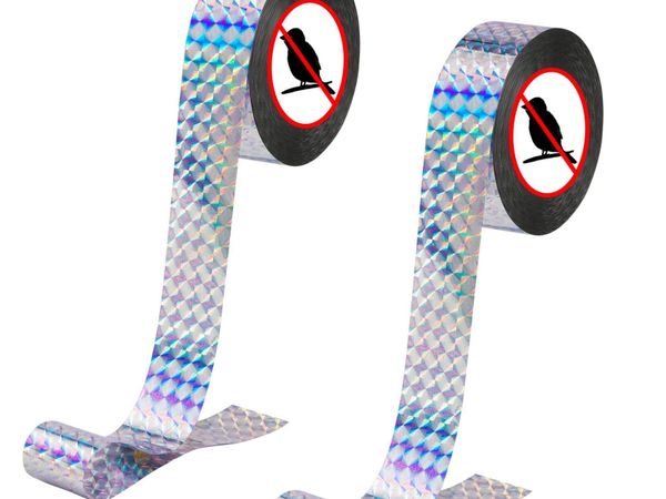 no-image