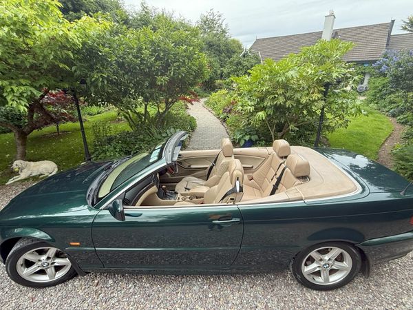 BMW 3-Series Convertible, Petrol, 2000, Green